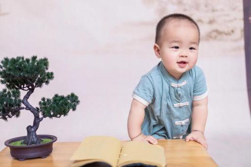 甘肃可爱的企鹅宝宝